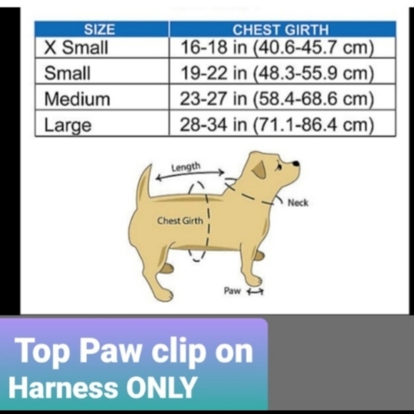 SOLD - Picture 4 of 4